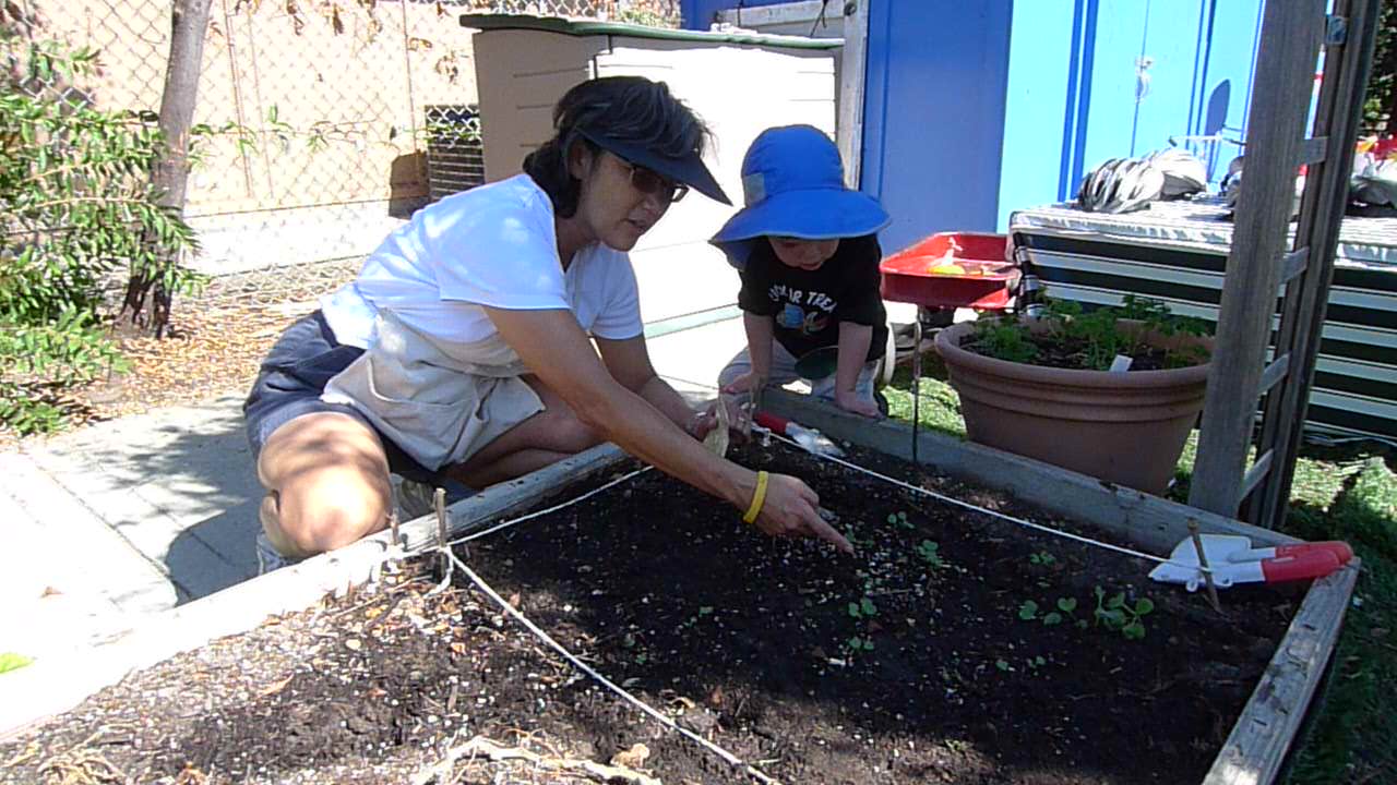 gardening with Teacher Wilma