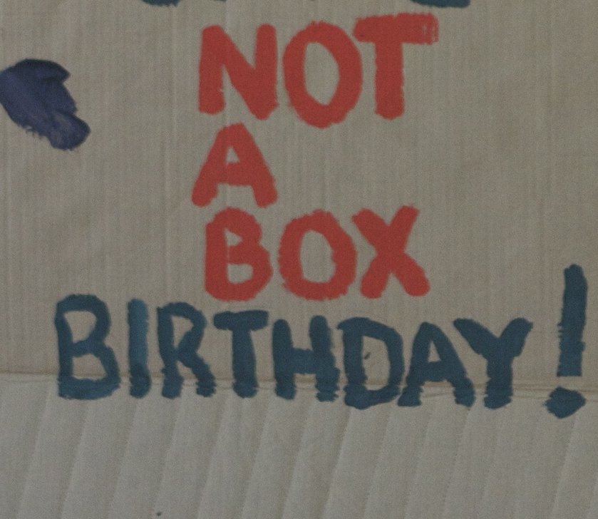 Not a Box Birthday Party