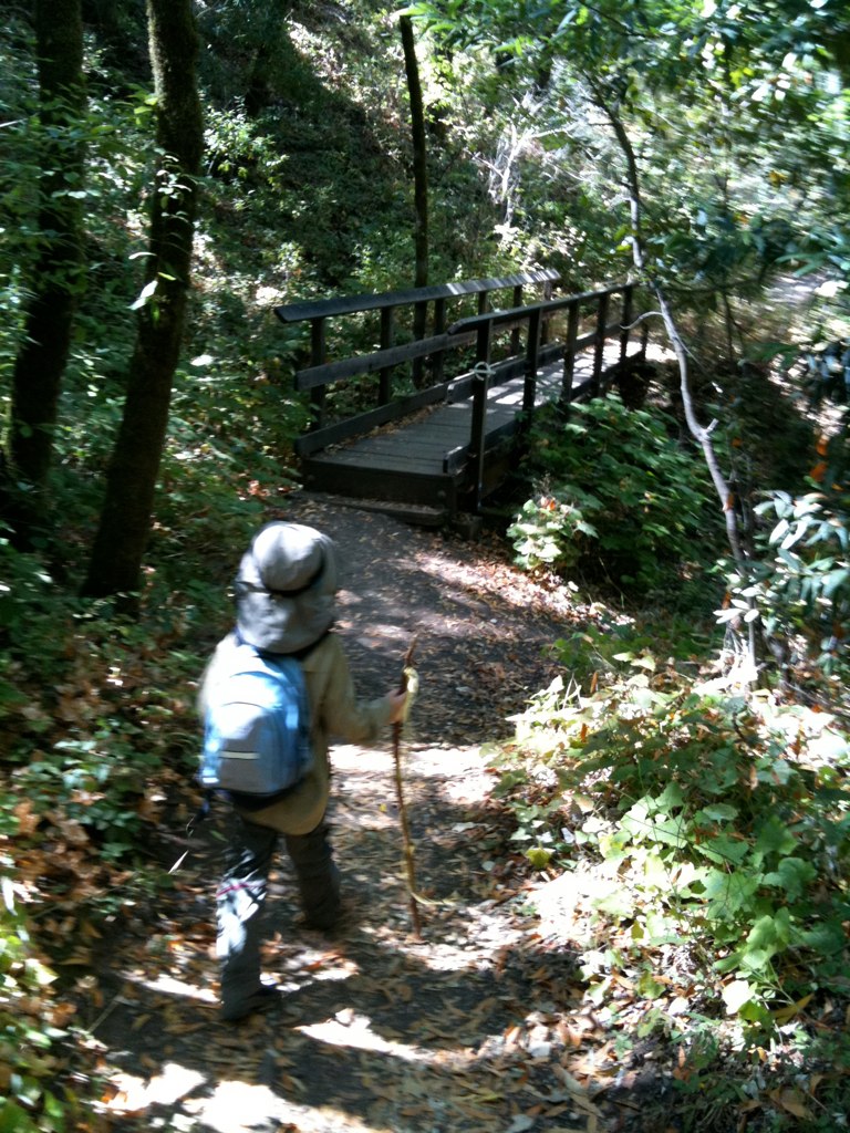 cross 3 bridges