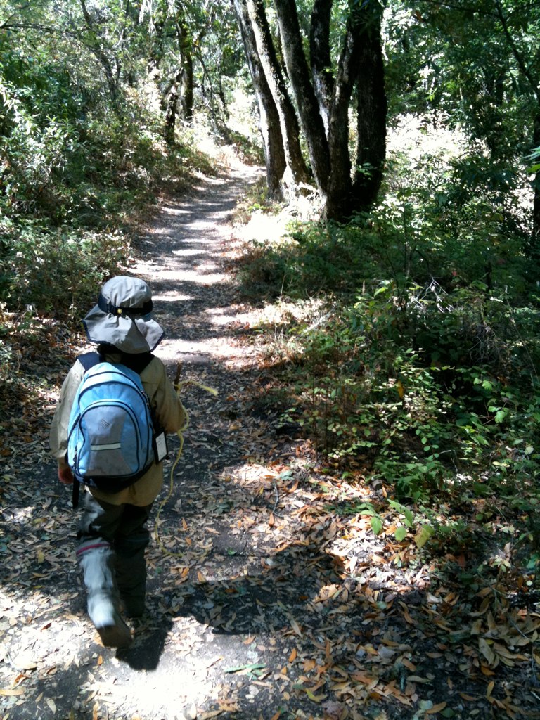 go on a hike