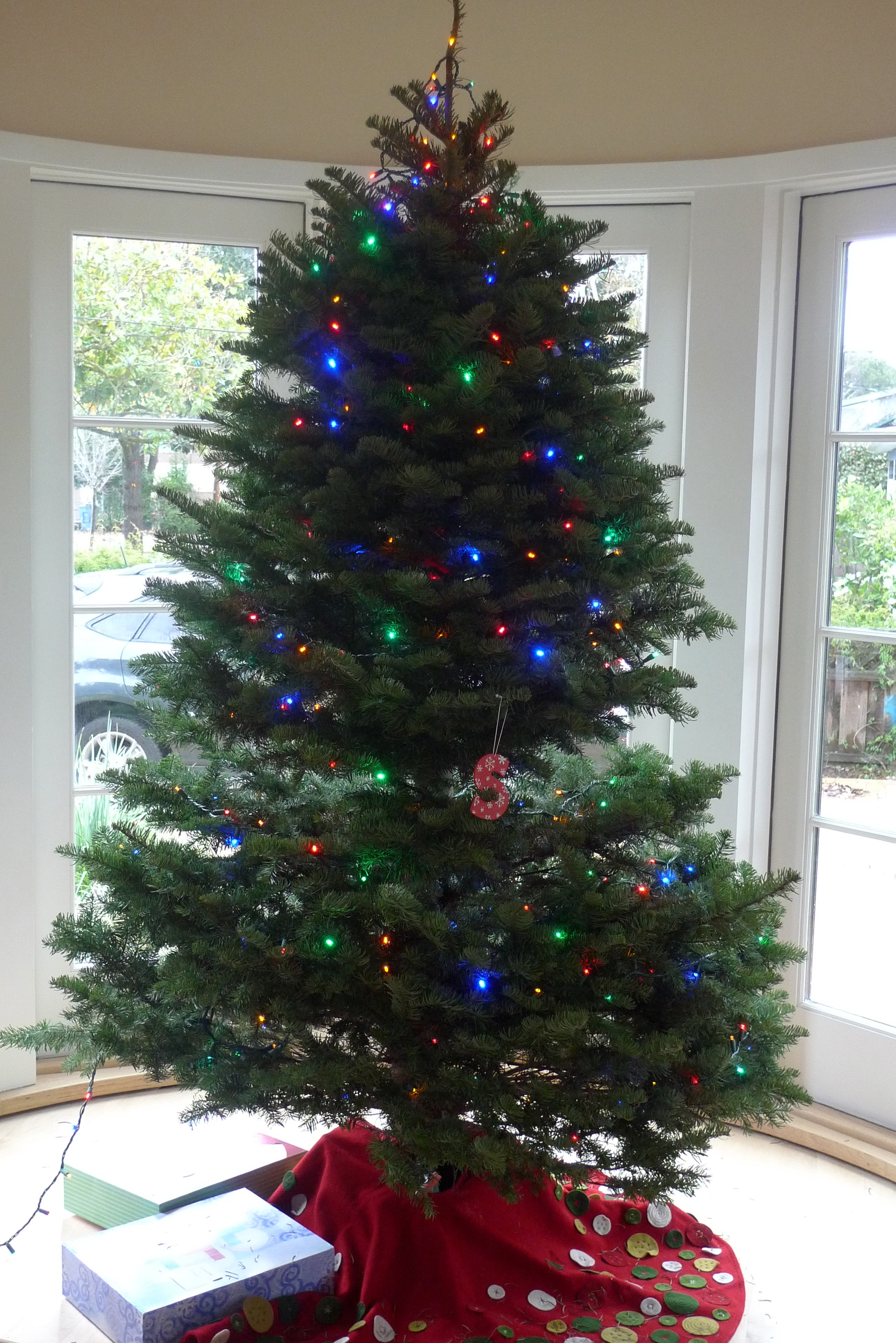 our own tree.