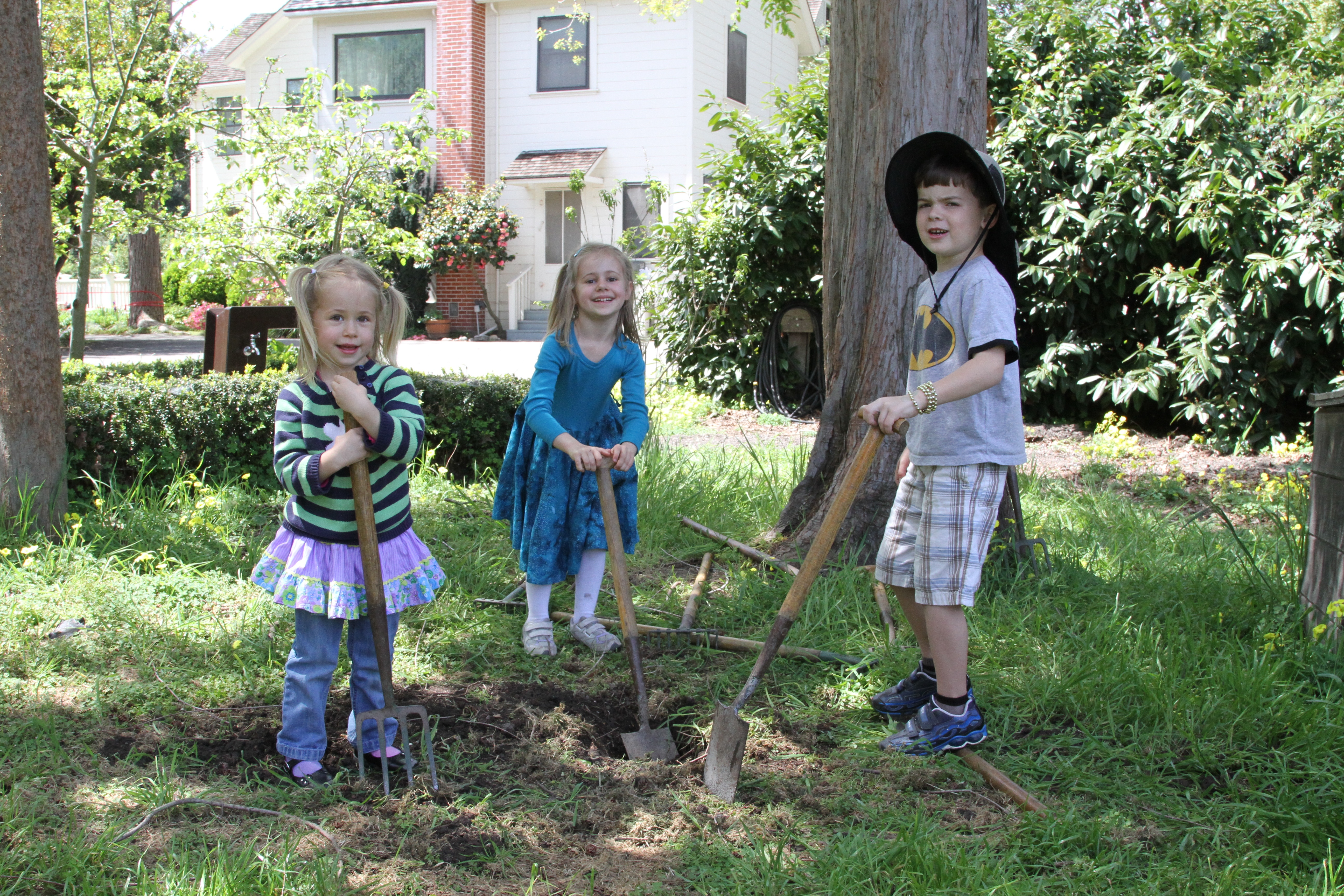 dug in the dirt,