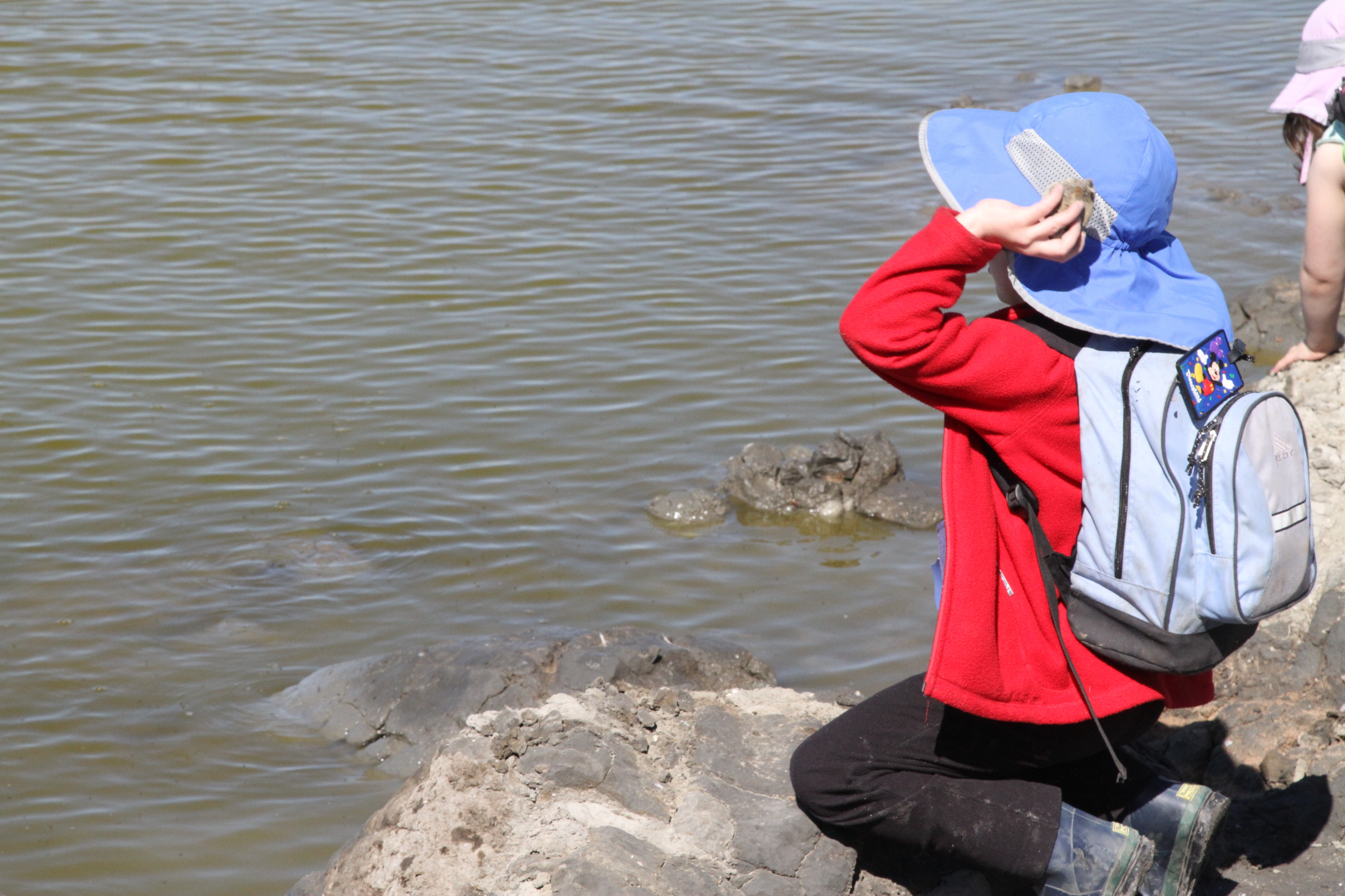 throwing rocks into the bay