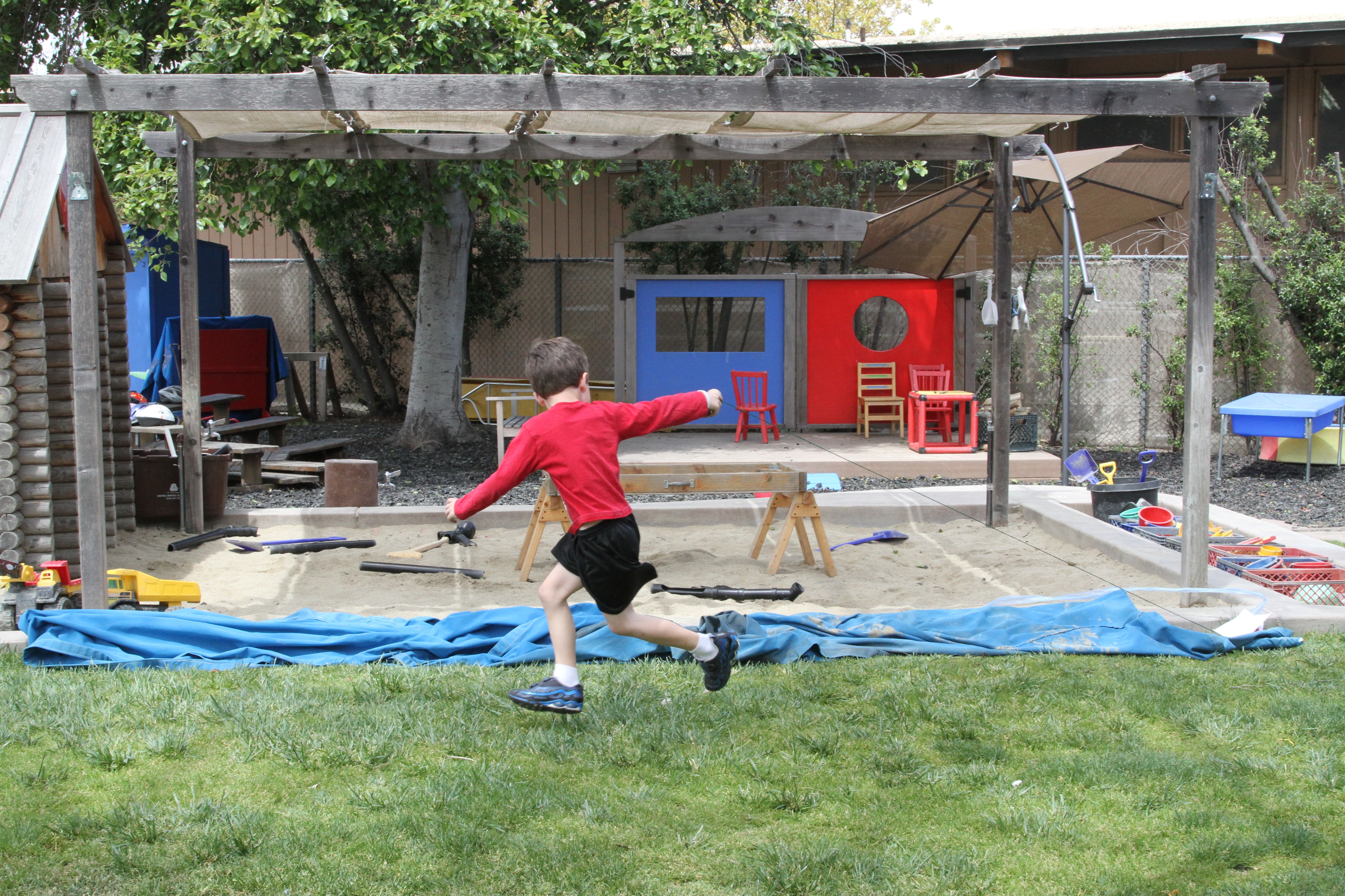 flying kites