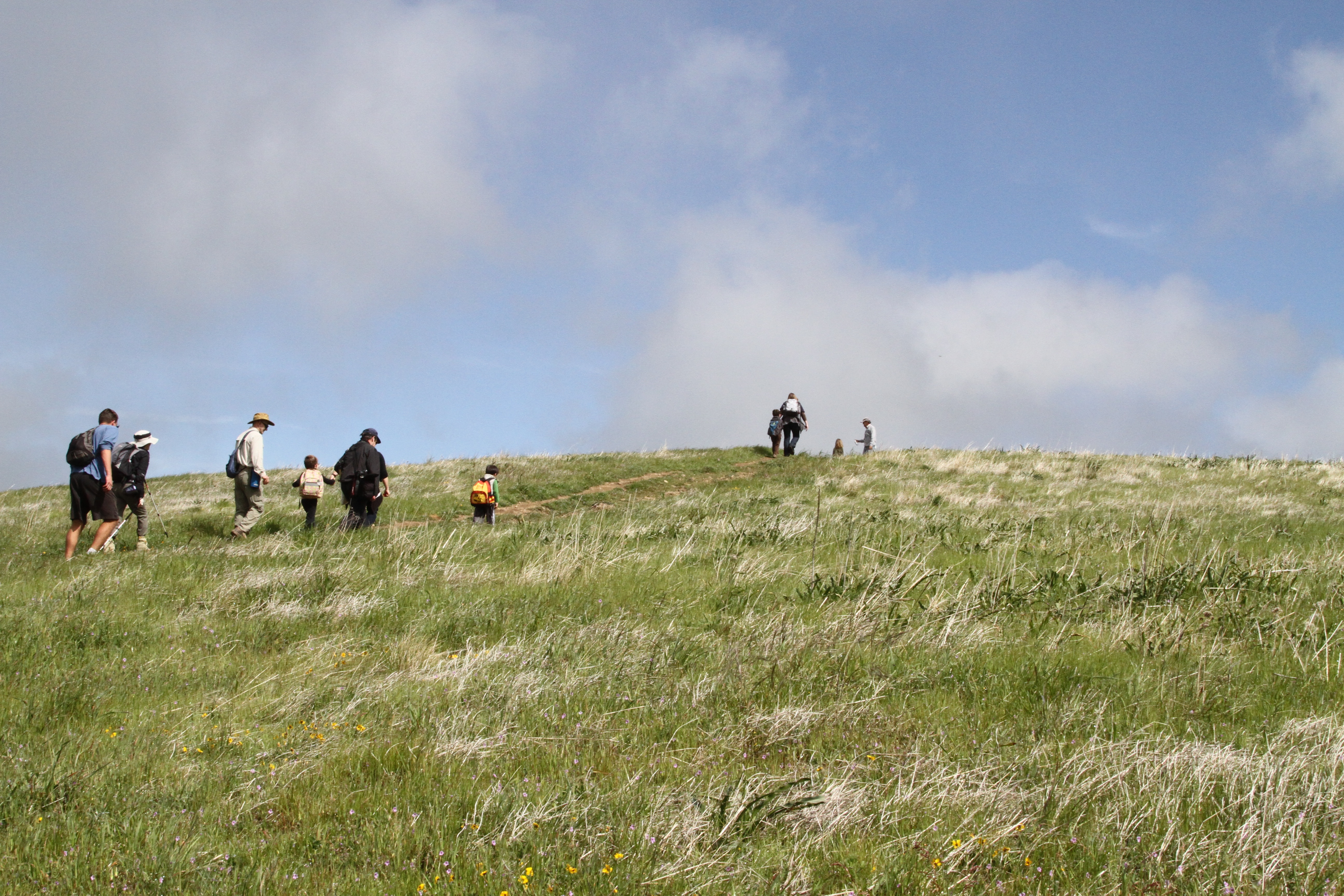 hiked up to Borel Hill