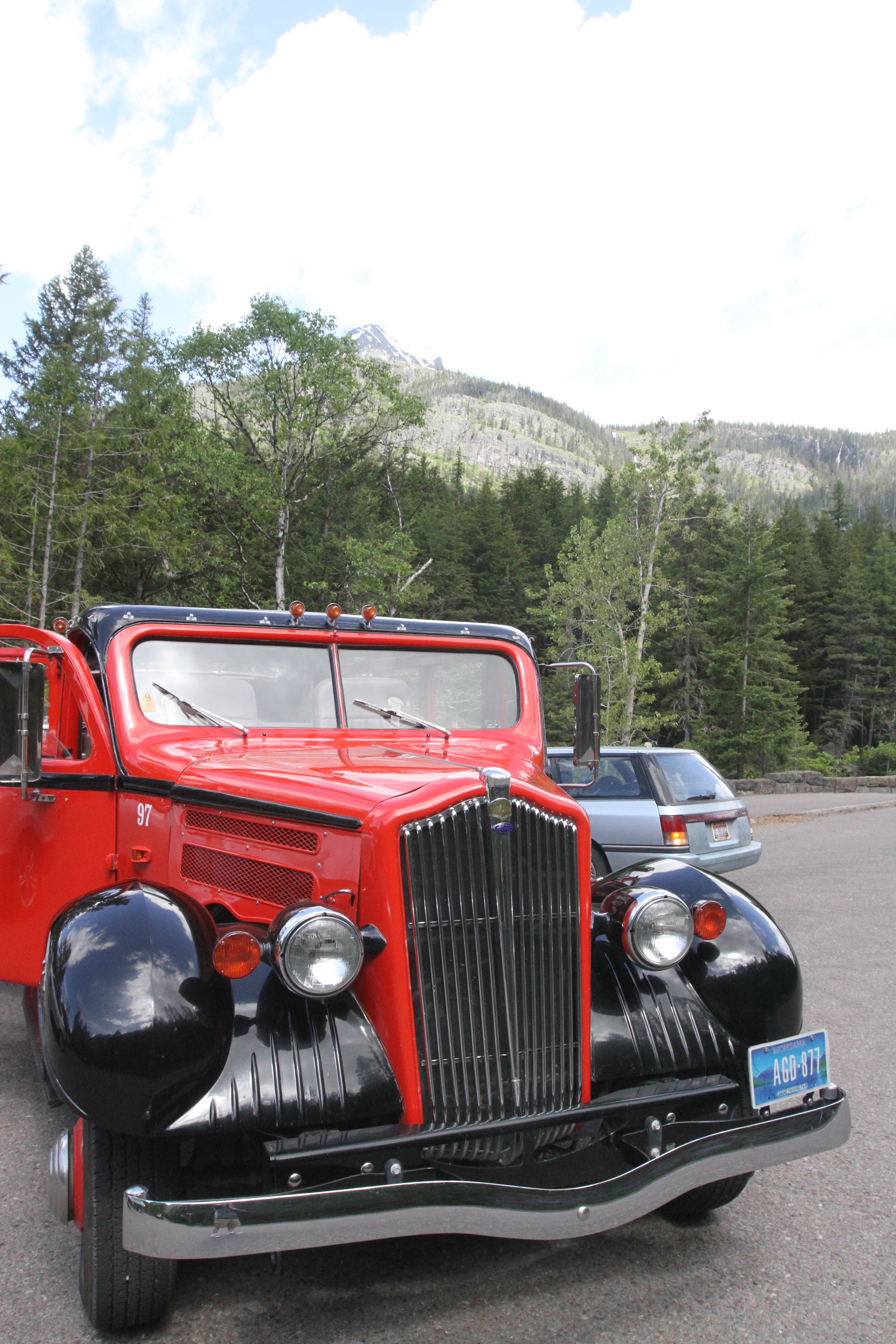 red bus tours of the park.