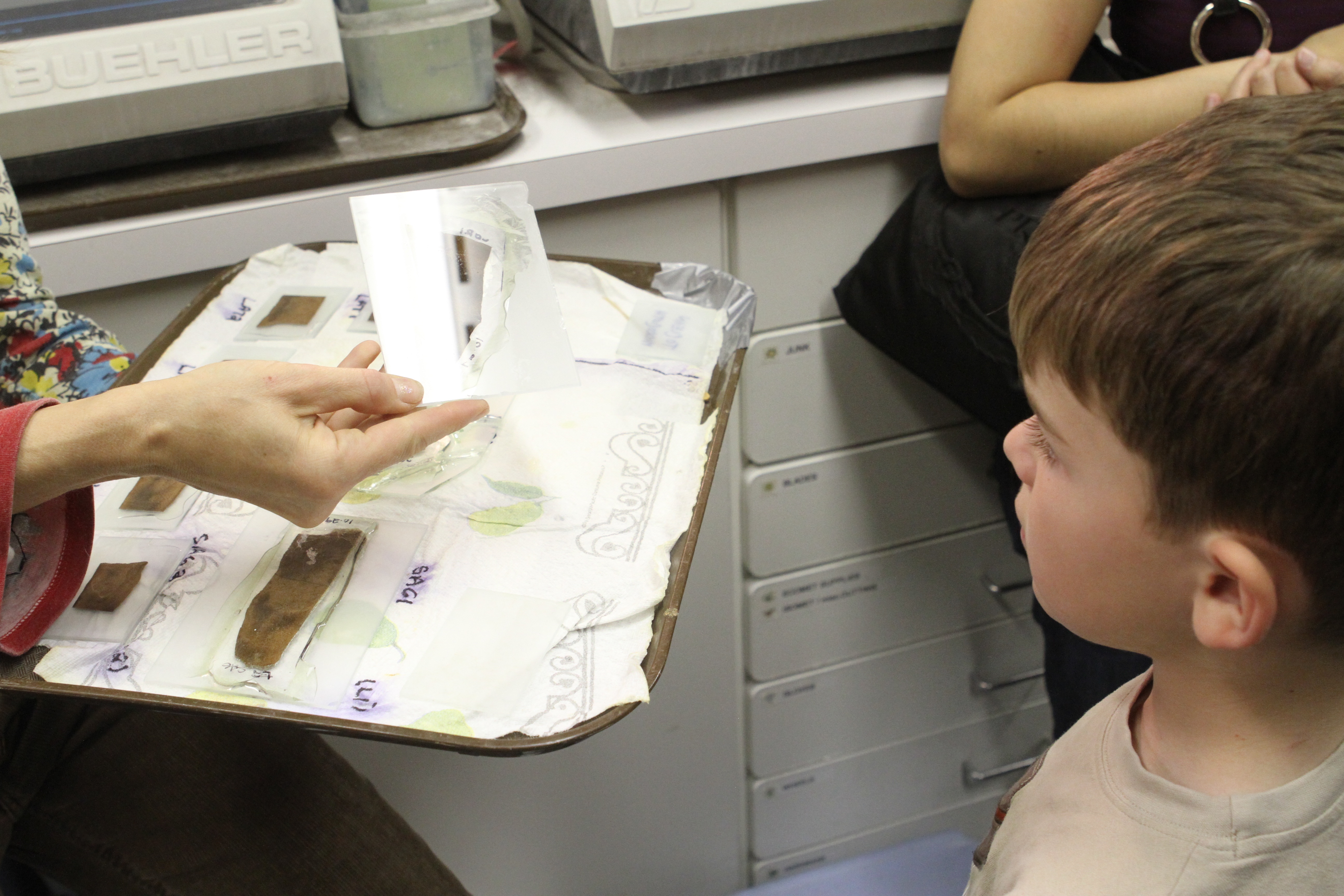tissue samples