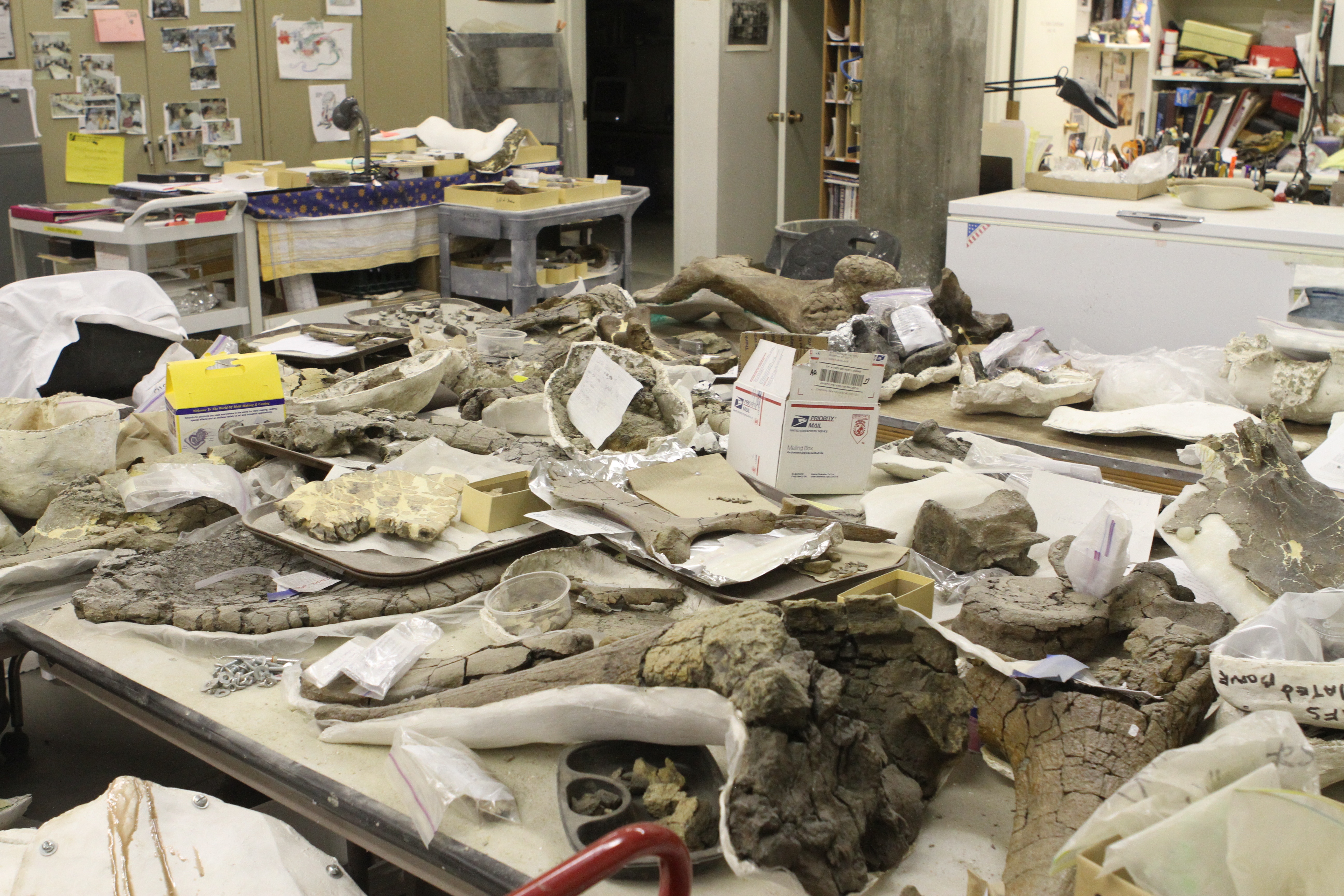 visit Dr. Jack's lab in the basement
